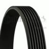 RENAULT 5000686802 V-Ribbed Belts